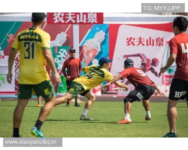 飞盘运动中的团队精神成都飞盘队协作之道探秘